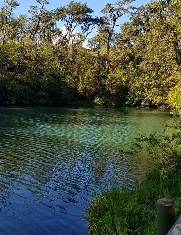 Laguna Verde景点图片