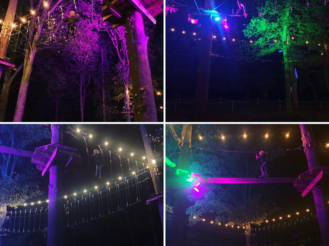 Holkham Ropes Course-Holkham必去景点