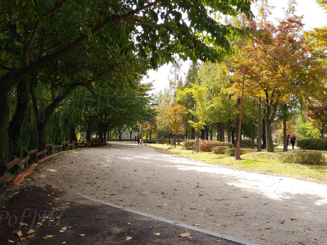 Jangja Lake Park-九里市必去景点
