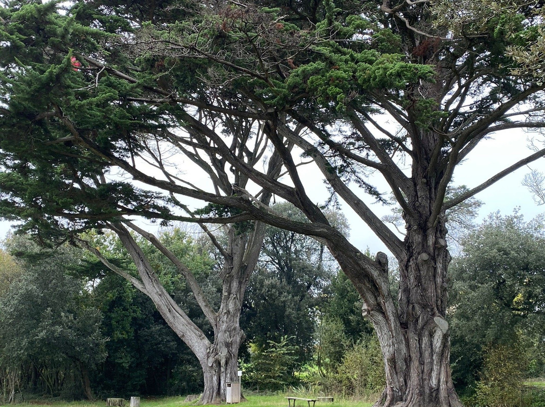 Parc des Genêts景点图片