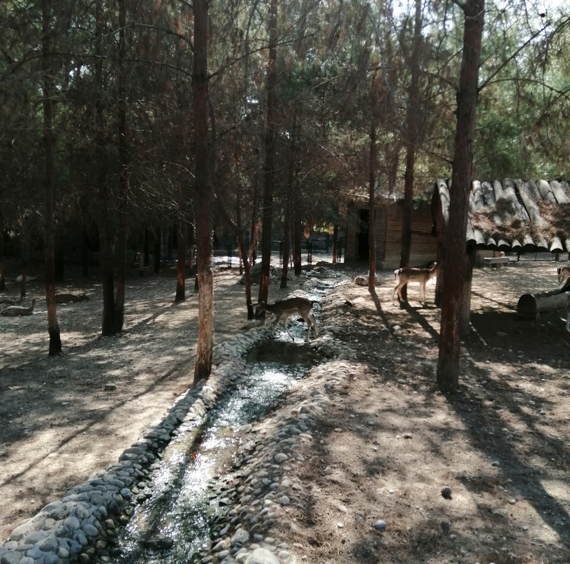 Tarsus Hayvan Parkı-Tarsus必去景点