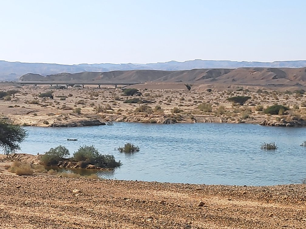 Porat Ein Yahav-Ein Yahav必去景点