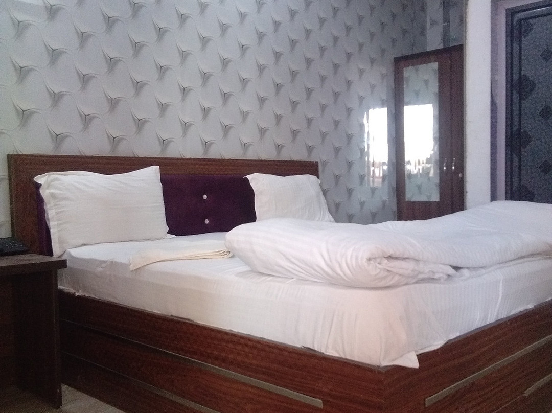 Hotel Shalimar Palace主图