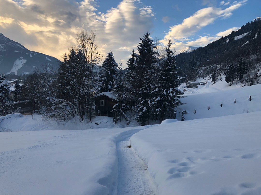 Landhaus Rohregger主图