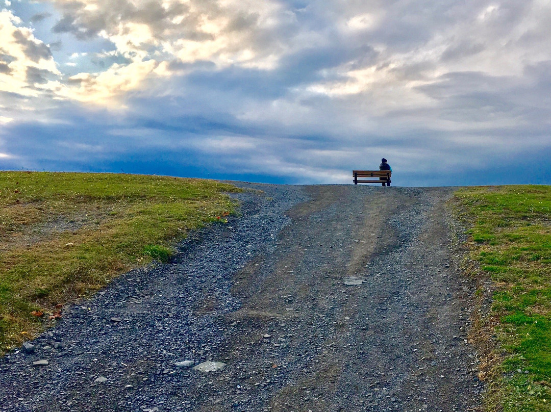 Parc de la Cité-隆格伊必去景点