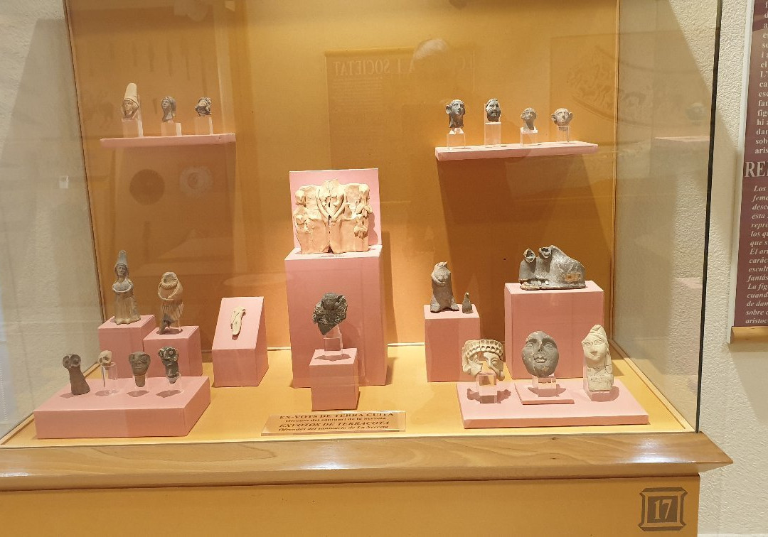 Museu Arqueologic Municipal Camil Visedo Molto景点图片