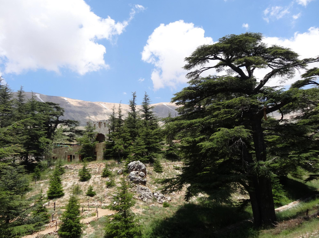 黎巴嫩旅游攻略图片