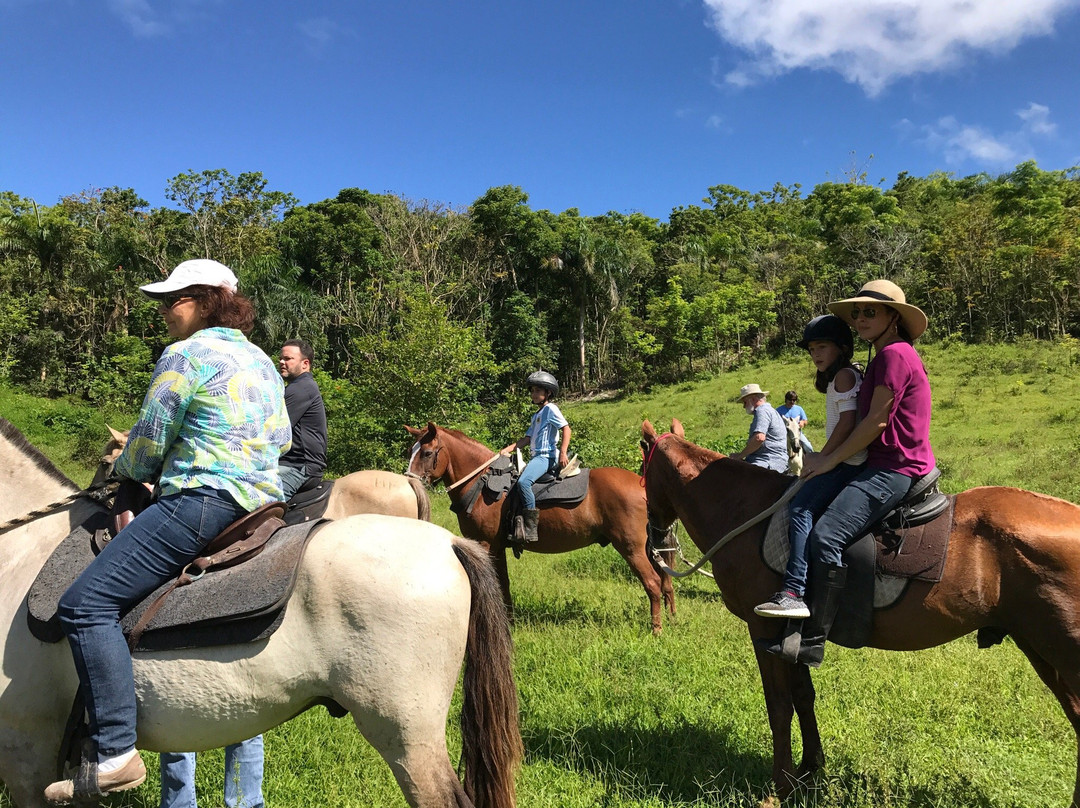 Hacienda 8A-Las Piedras必去景点