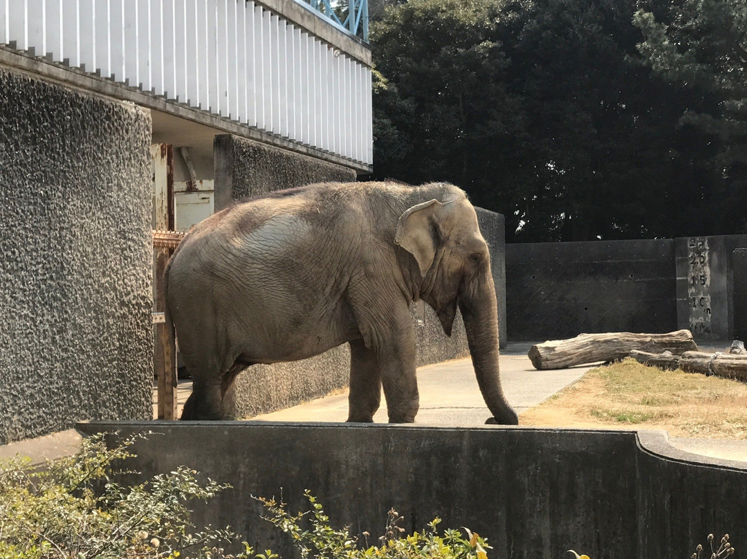 Hamamatsu Zoo logical Garden景点图片