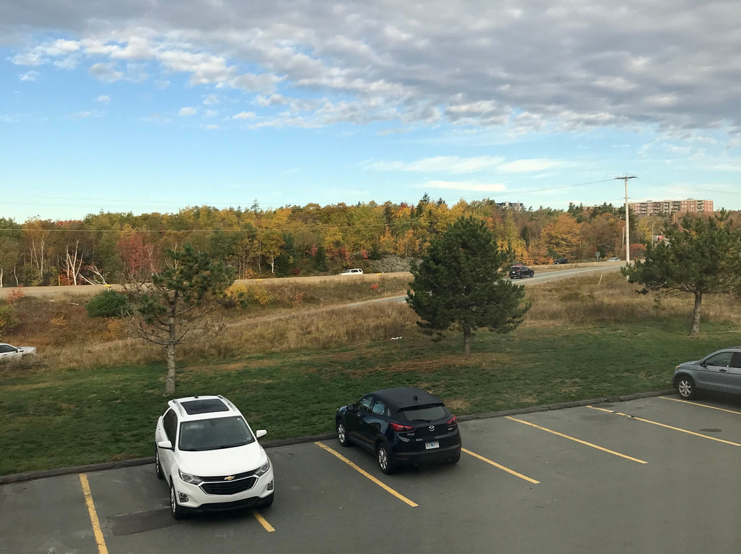 Chateau Bedford, Trademark Collection by Wyndham主图