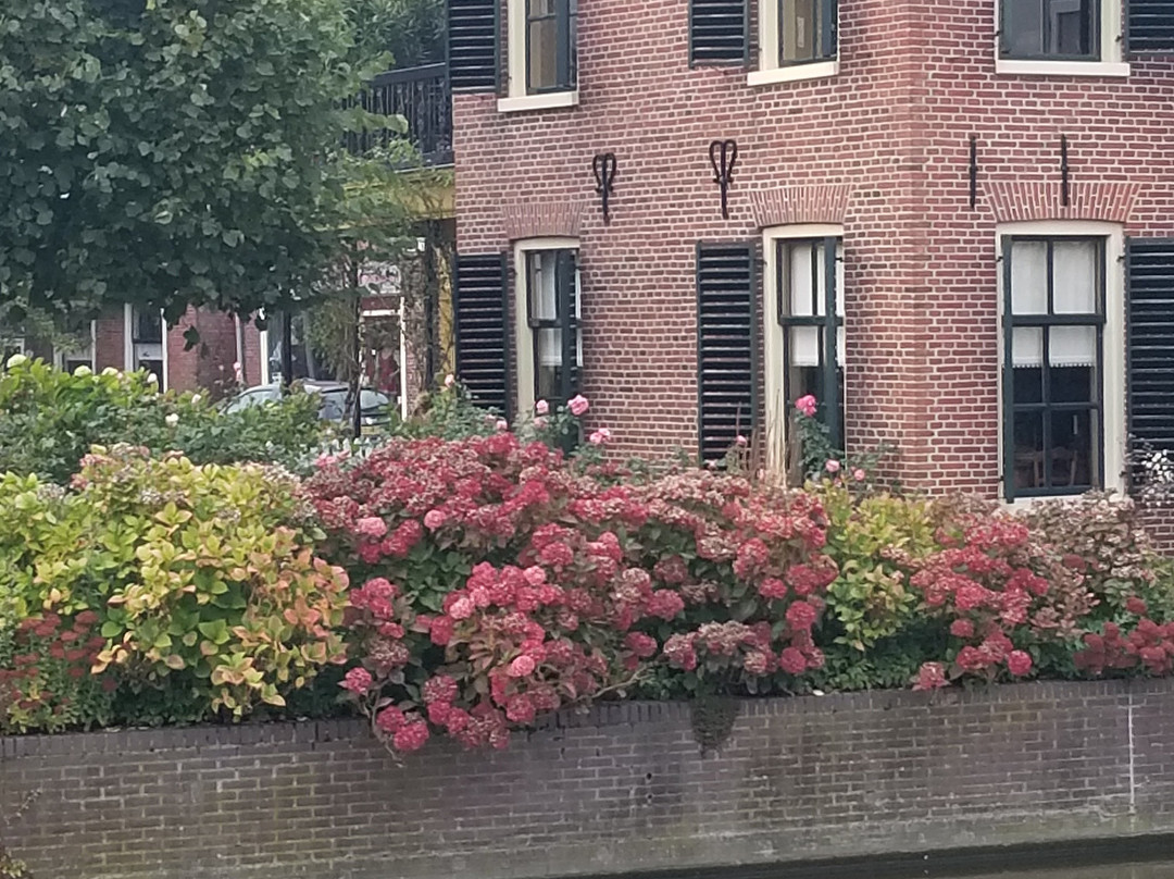 Molen Hunsingo主图