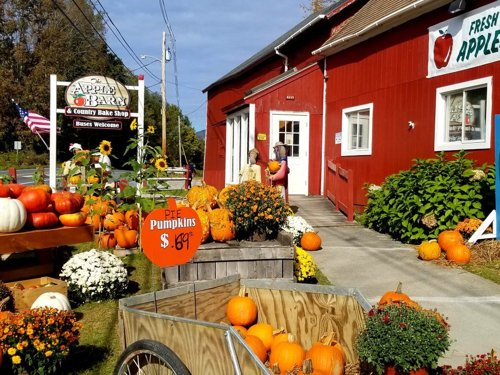 The Apple Barn and Country Bake Shop景点图片