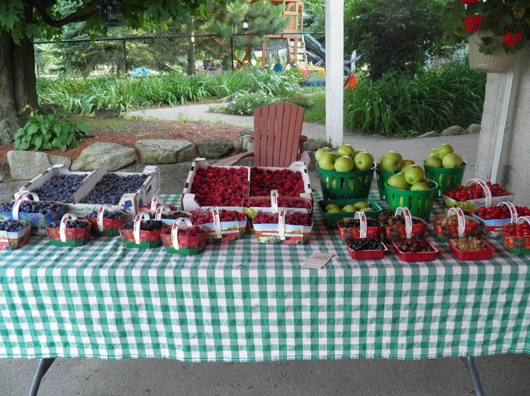 La Ferme aux Mille Cailloux
