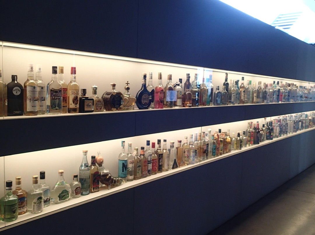 Museo del Tequila y el Mezcal景点图片