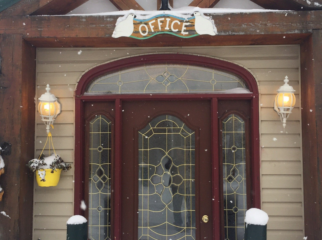 跳舞熊酒店主图