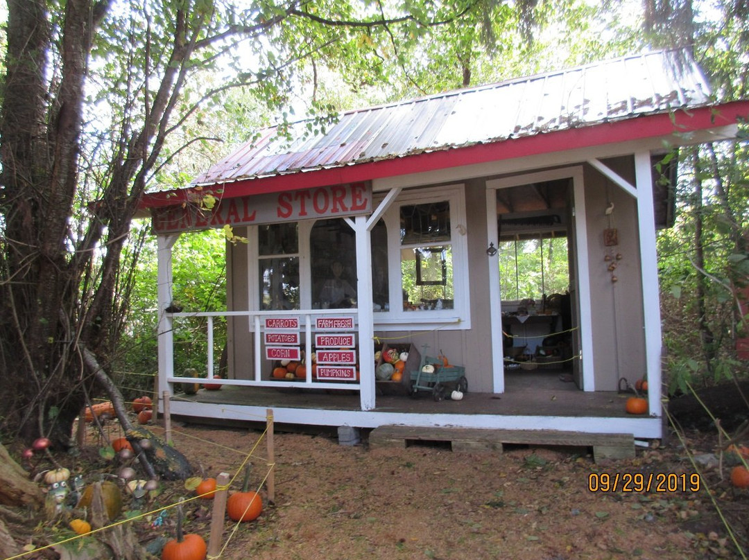 Laity Pumpkin Patch-枫树岭必去景点