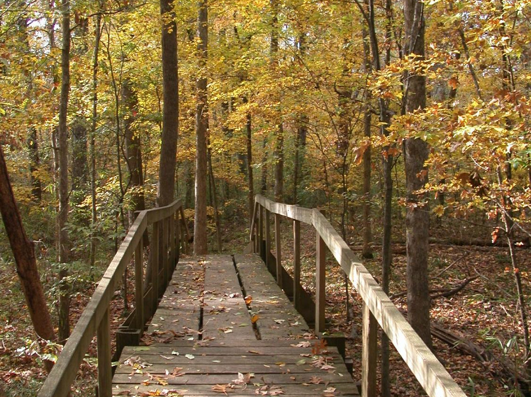 Walter B Jacobs Memorial Nature Park景点图片