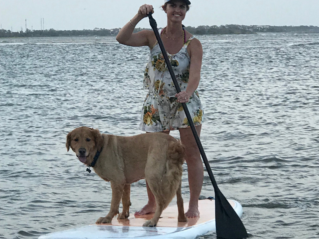 Barry's Beach Service Inc.-圣西蒙斯岛必去景点