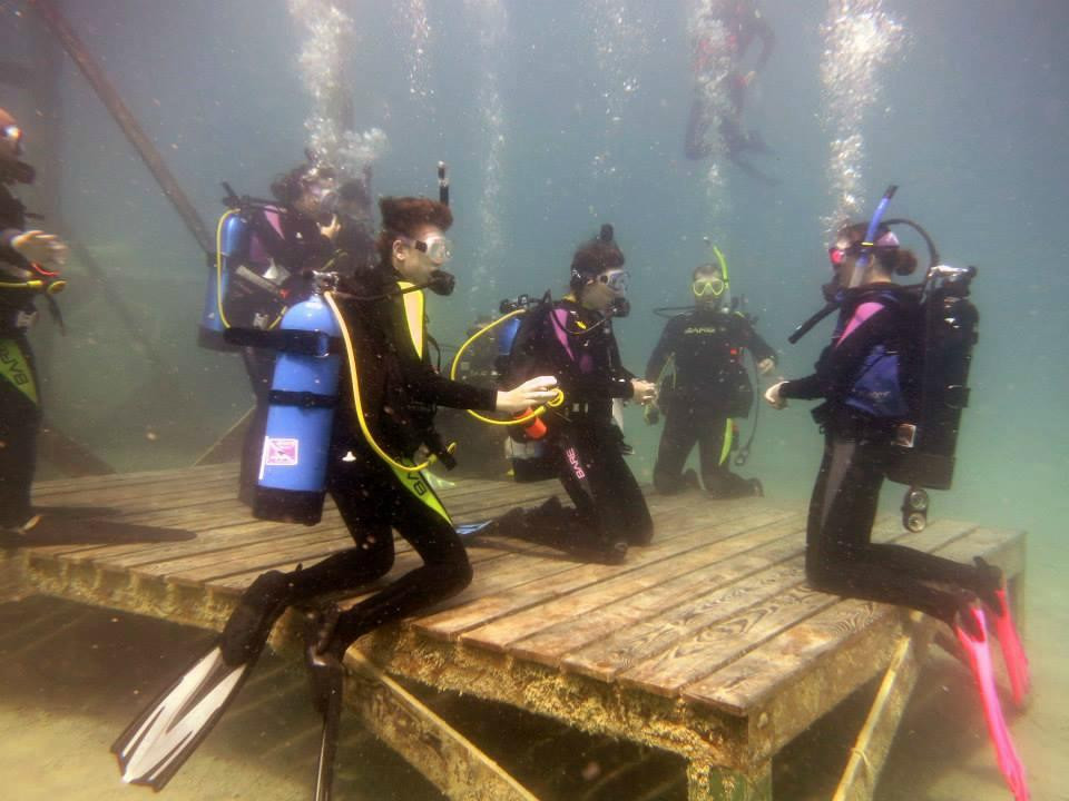 Pennyroyal Scuba Blue Springs Resort景点图片