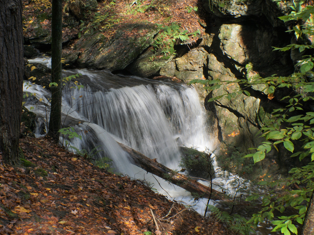 Naugatuck State Forest景点图片