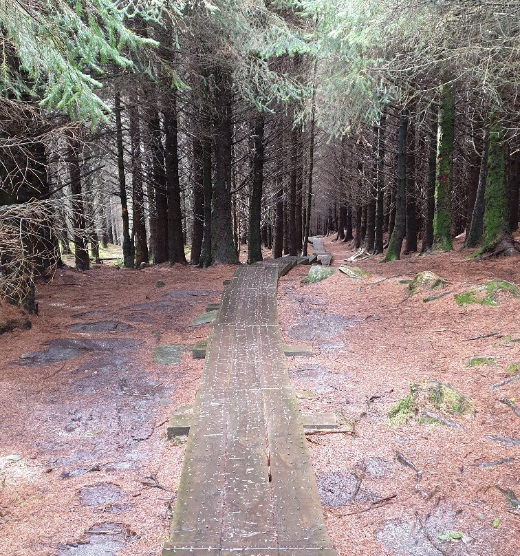 The Wicklow Way-Wicklow必去景点