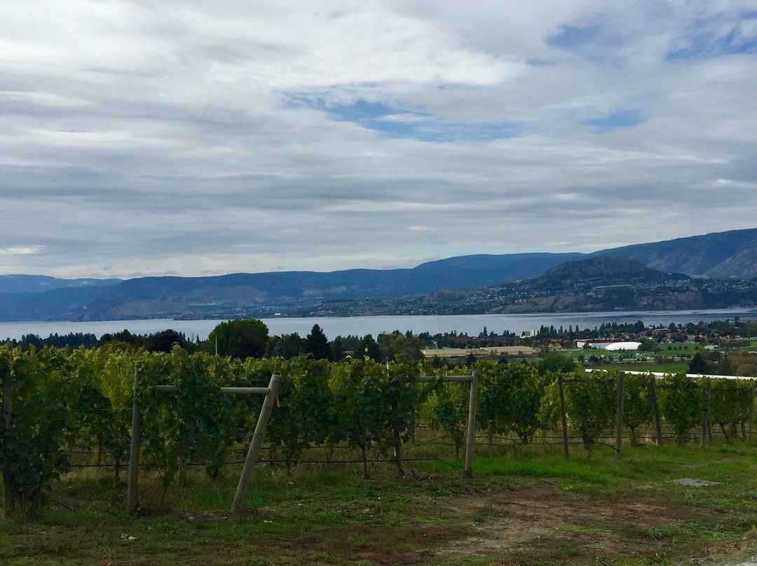 Tantalus Vineyards-基洛纳必去景点