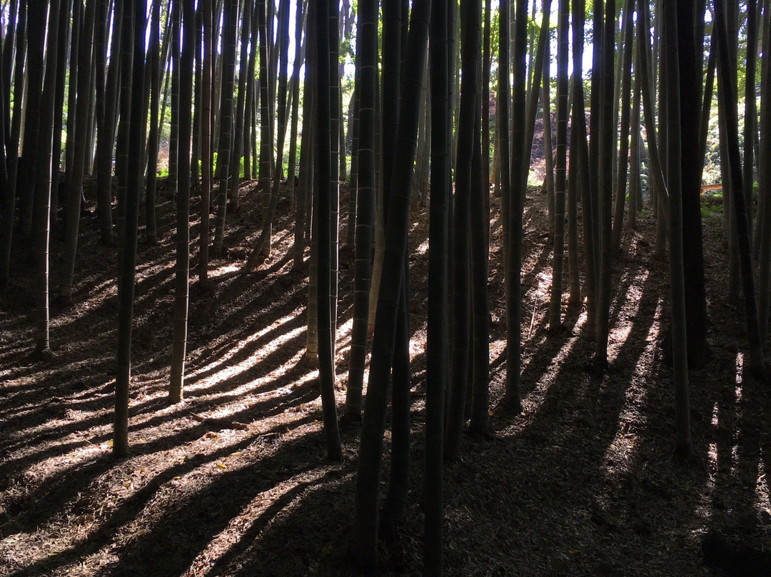 Gochangeupseong Fortress-高敞郡必去景点