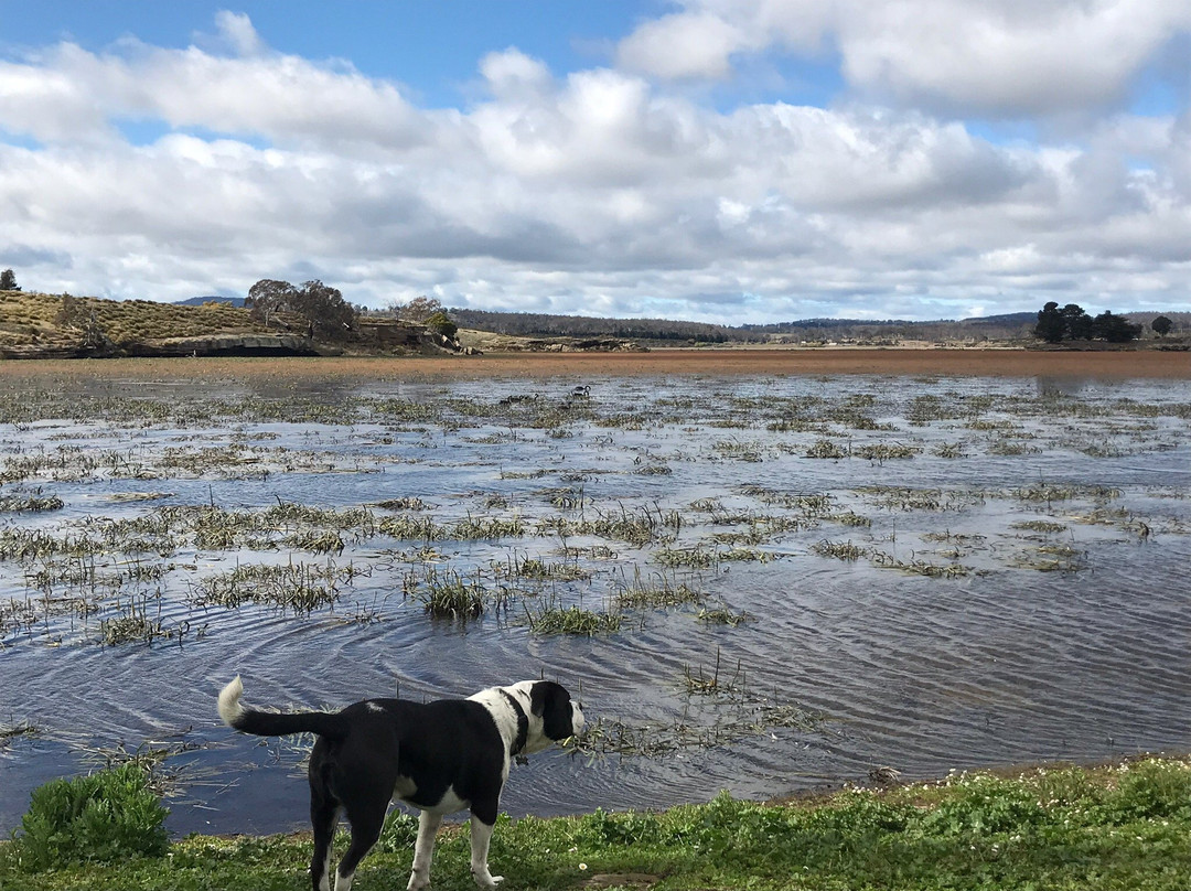 Lake Dulverton-Oatlands必去景点