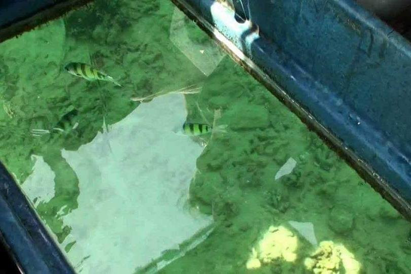 Pragash Water Corner-Trincomalee必去景点