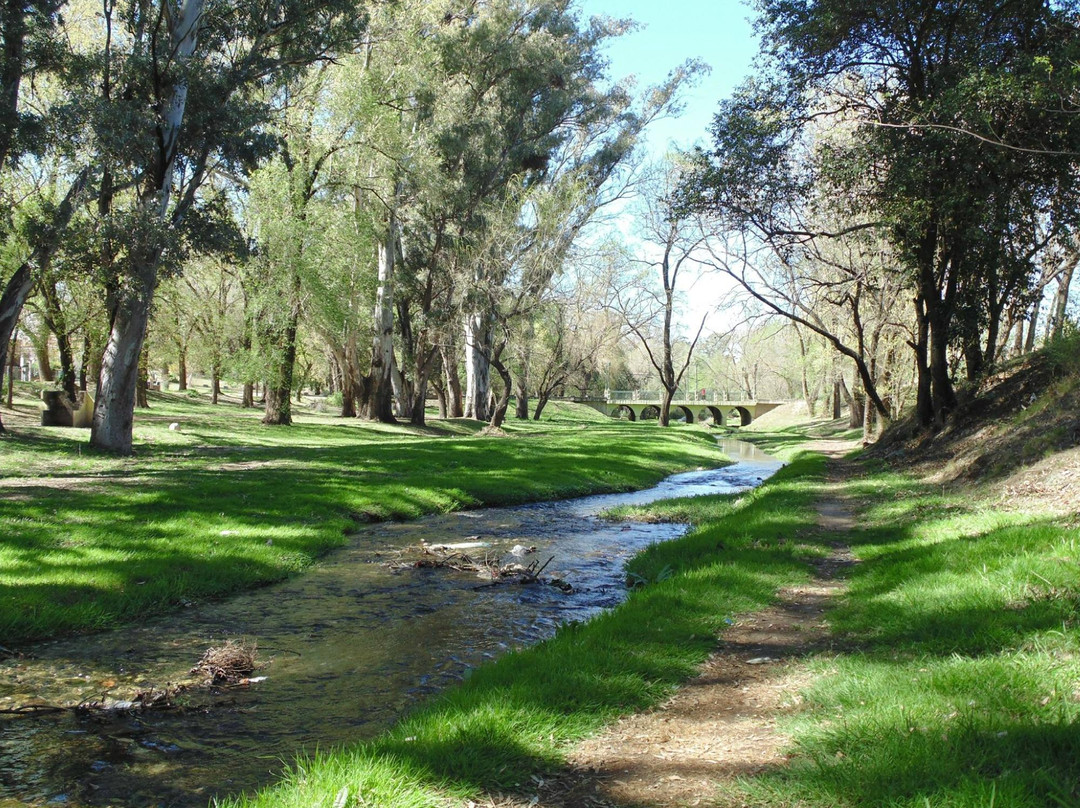 Arroyo Alta Gracia Chicamtoltina景点图片