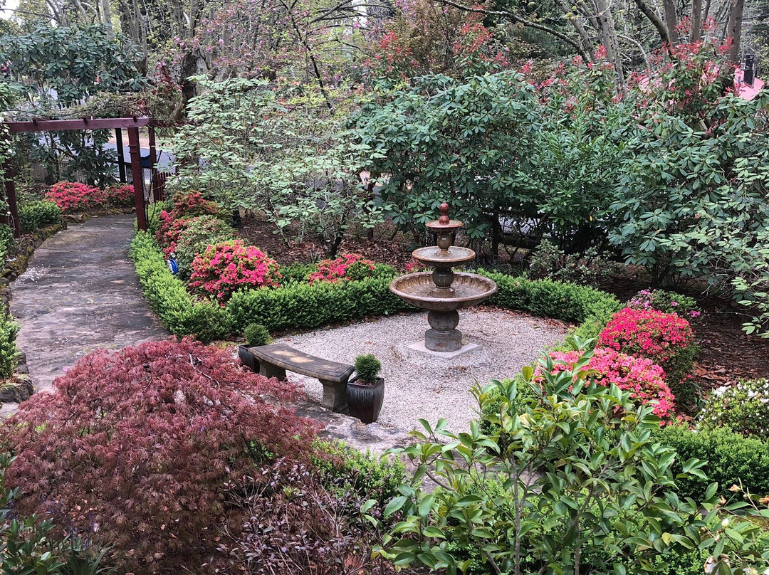 Kubba Roonga Guesthouse - Boutique Luxury Spa Retreat & Gardens主图