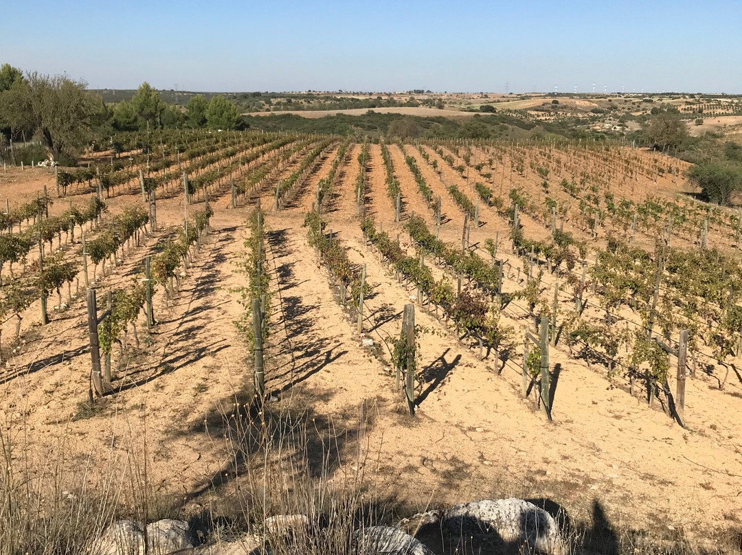 Bodega Qubel-马德里必去景点