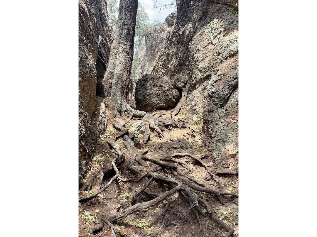 Eye of the Needle Walk-Murrurundi必去景点