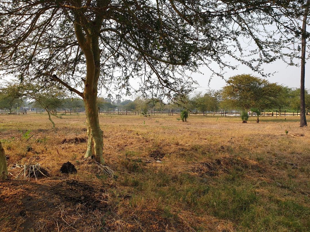 Zaburi Beach by Serendib主图