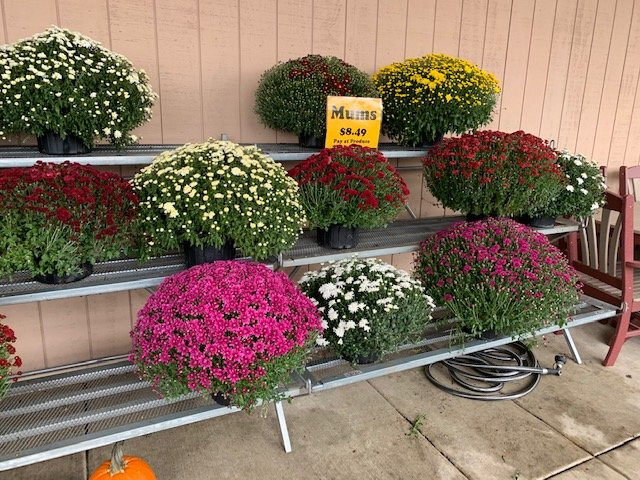 Pennsylvania Dutch Market-黑格斯敦必去景点