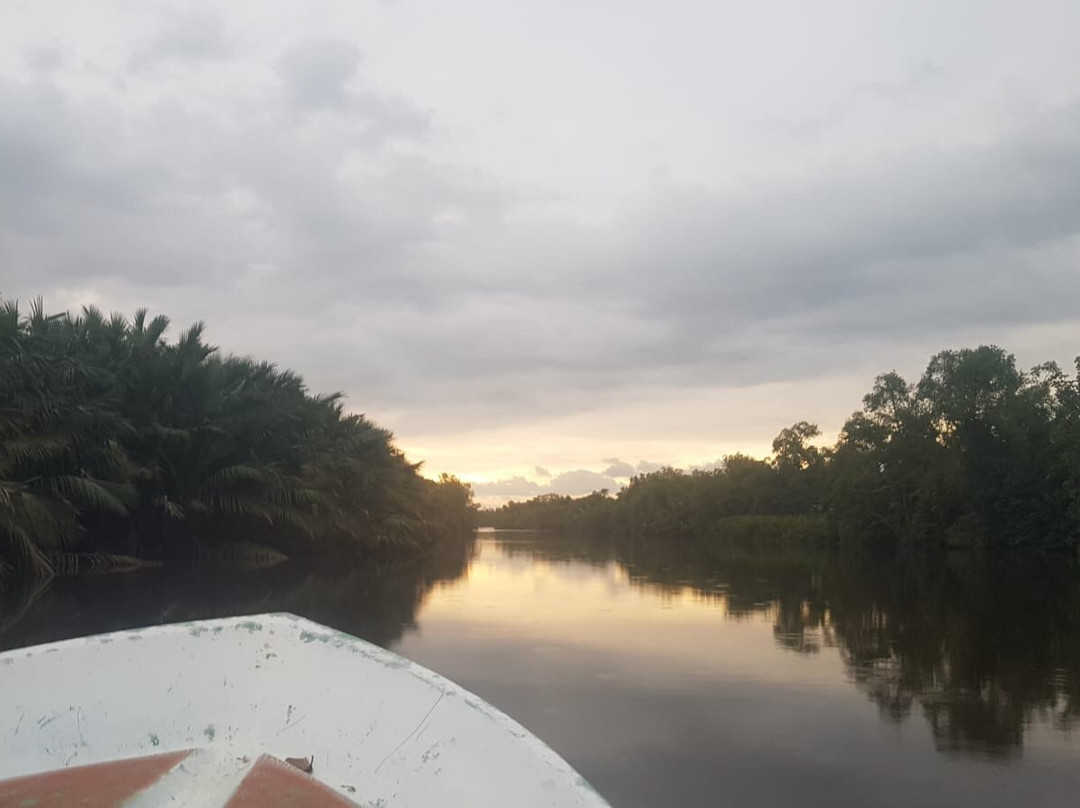 Bentota River景点图片