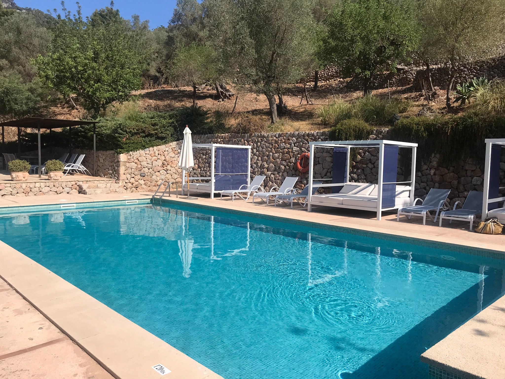 Agroturismo Alfabia Nou-泳池