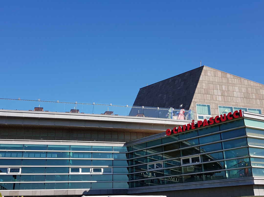 Sihwanarae Rest Area Moon Observatory-安山市必去景点