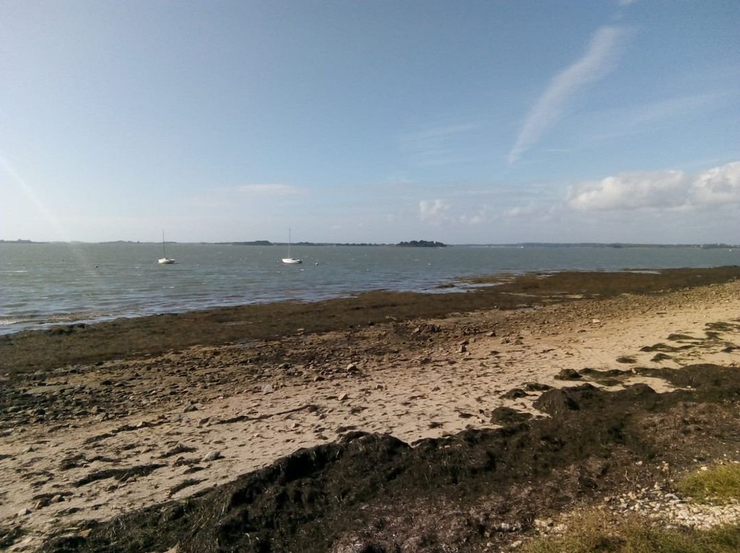 Île Tascon景点图片