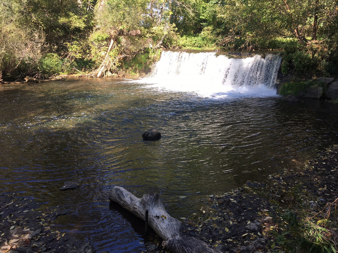 Lynn River Falls景点图片