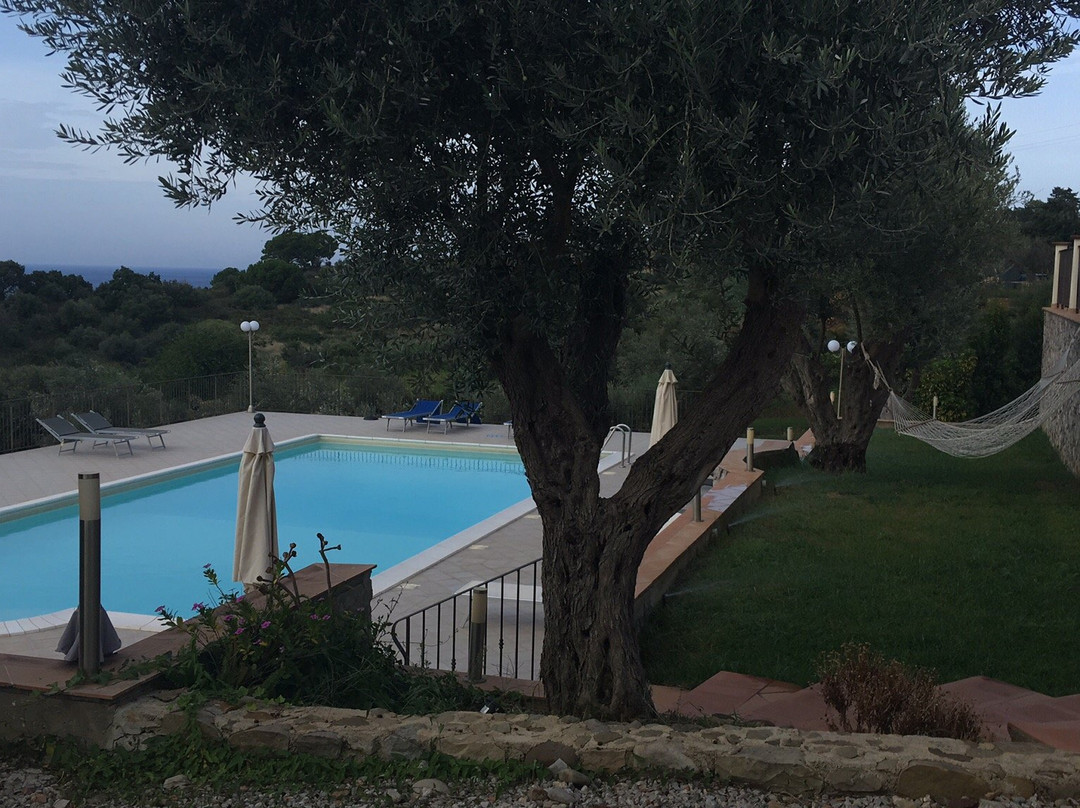 La Valle Degli Ulivi主图