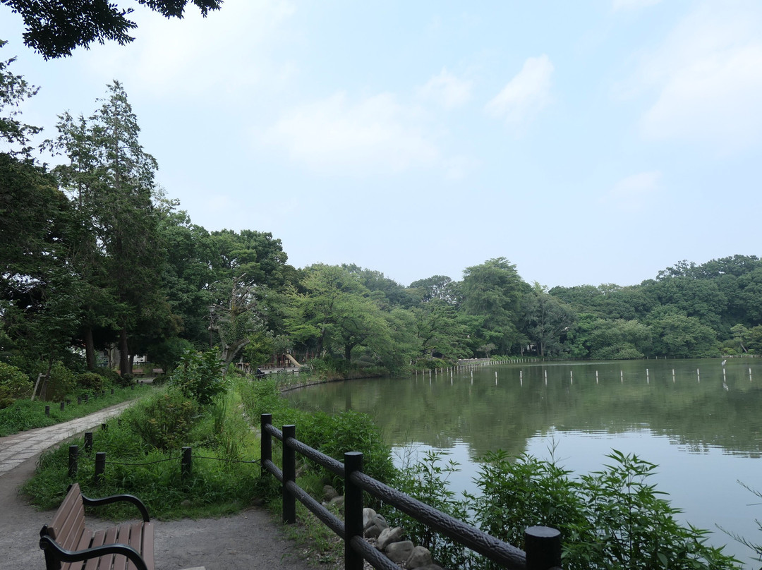 Zempukuji Park-杉并区必去景点