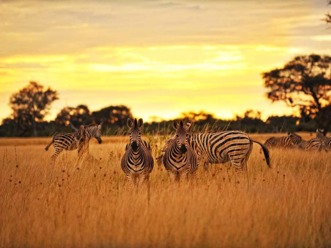 Bonisa Excursions-布拉瓦约必去景点