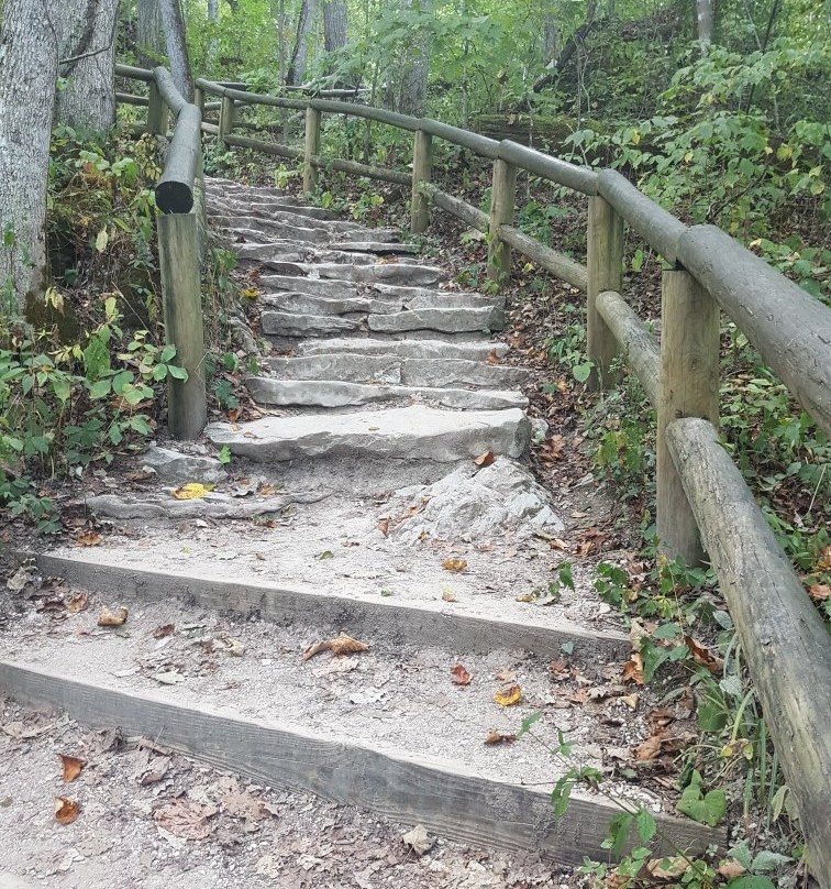 Daniel Boone National Forest-Winchester必去景点