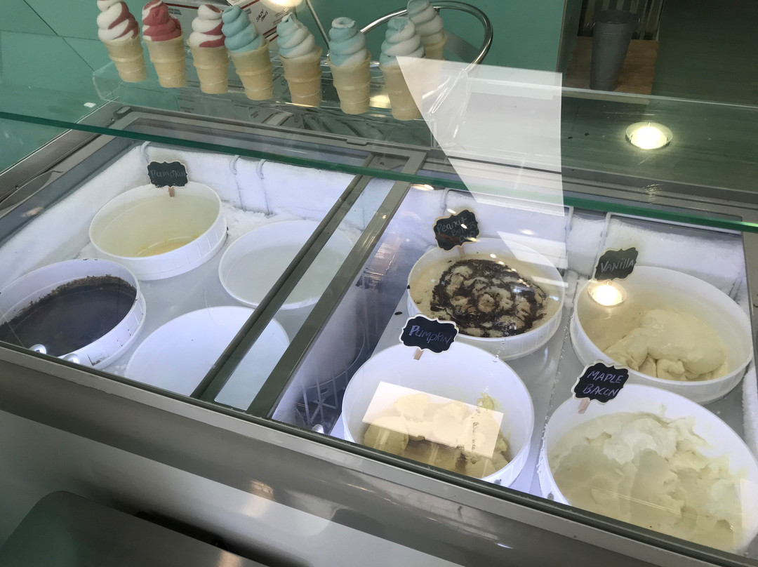 Salty Paws-里霍博斯比奇必去景点