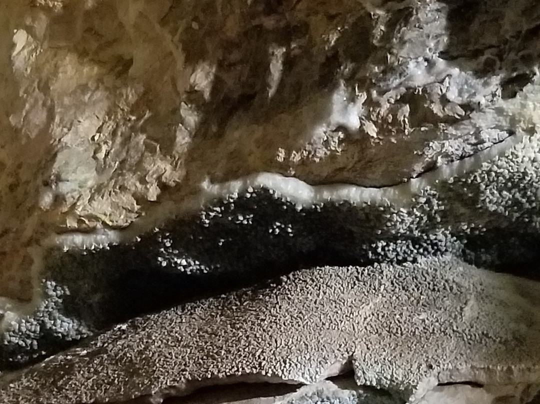 Jewel Cave National Monument景点图片