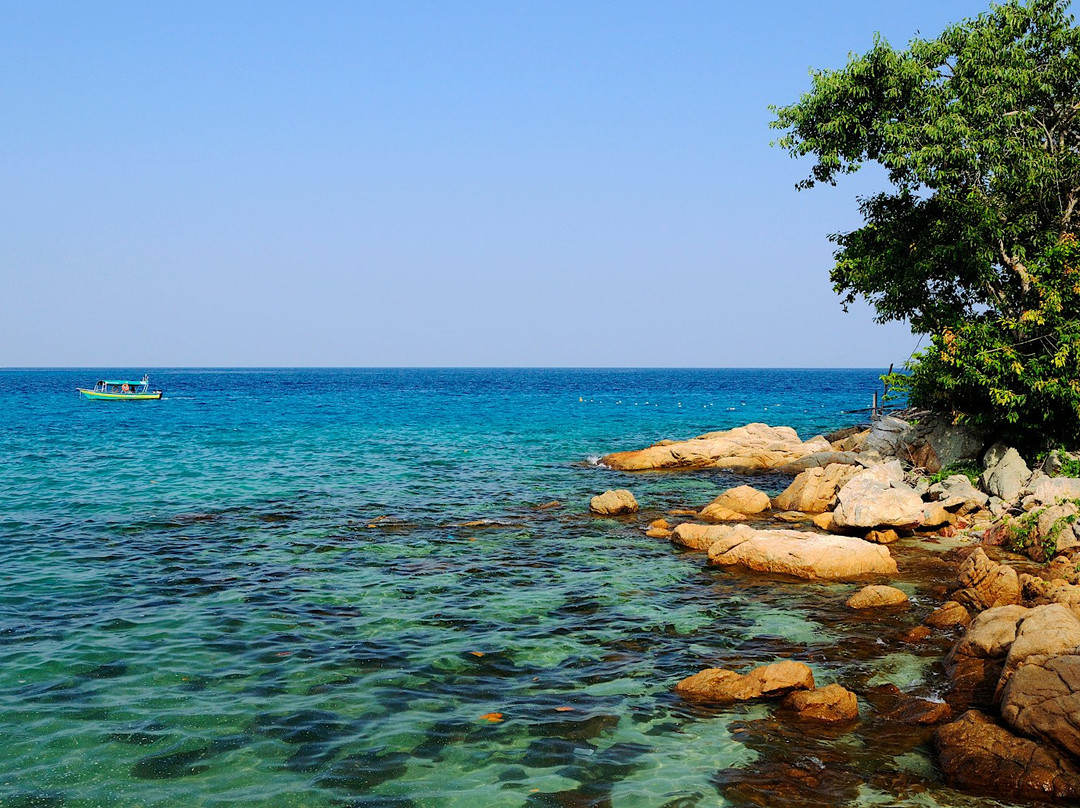 Coral Bay (Teluk Aur)景点图片