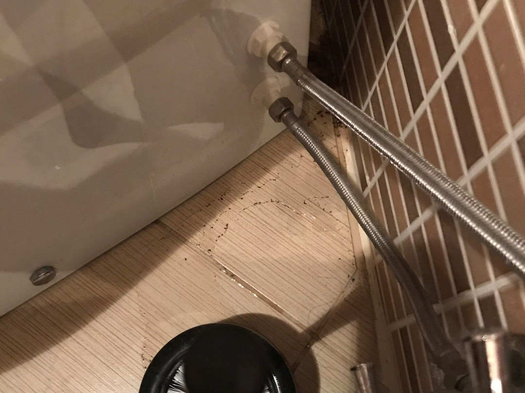 Mihran Hanim Konagi主图