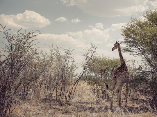 Intermix Tours and Safaris-温德和克必去景点