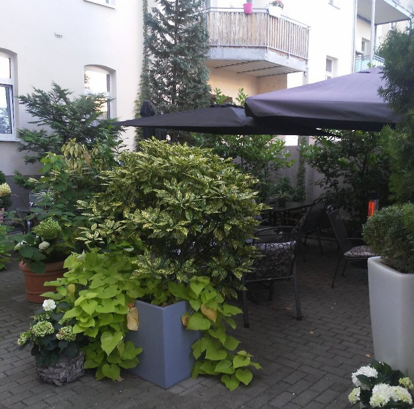 City Hotel am Wasserturm主图